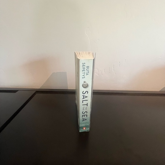 Salt and the Sea, book - Picture 6 of 11